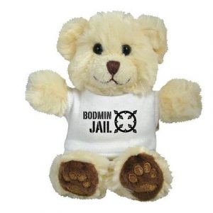 Promotional Product - 5" Chester Bear & T Shirt