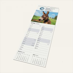 Wall Calendar Midi
