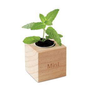 Herb Pot in Wooden Case Branded with Logo